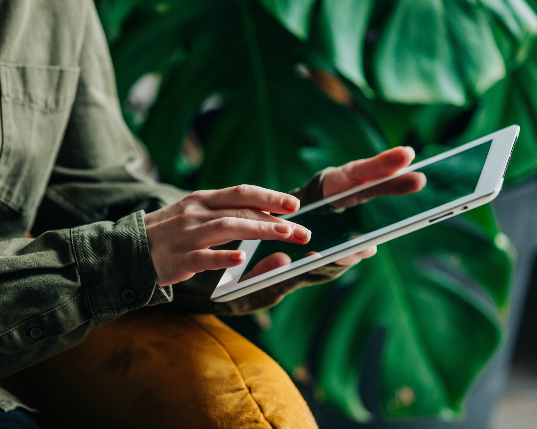 Um plano aproximado de alguém a usar um tablet com uma planta ao fundo